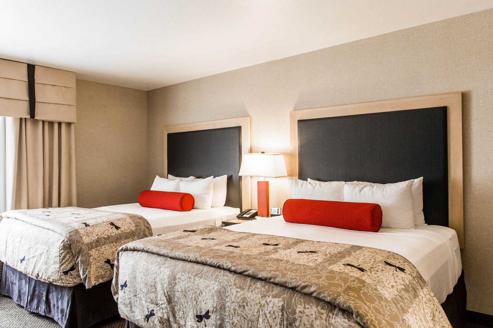 Springhill Suites By Marriott Roanoke Bilik gambar