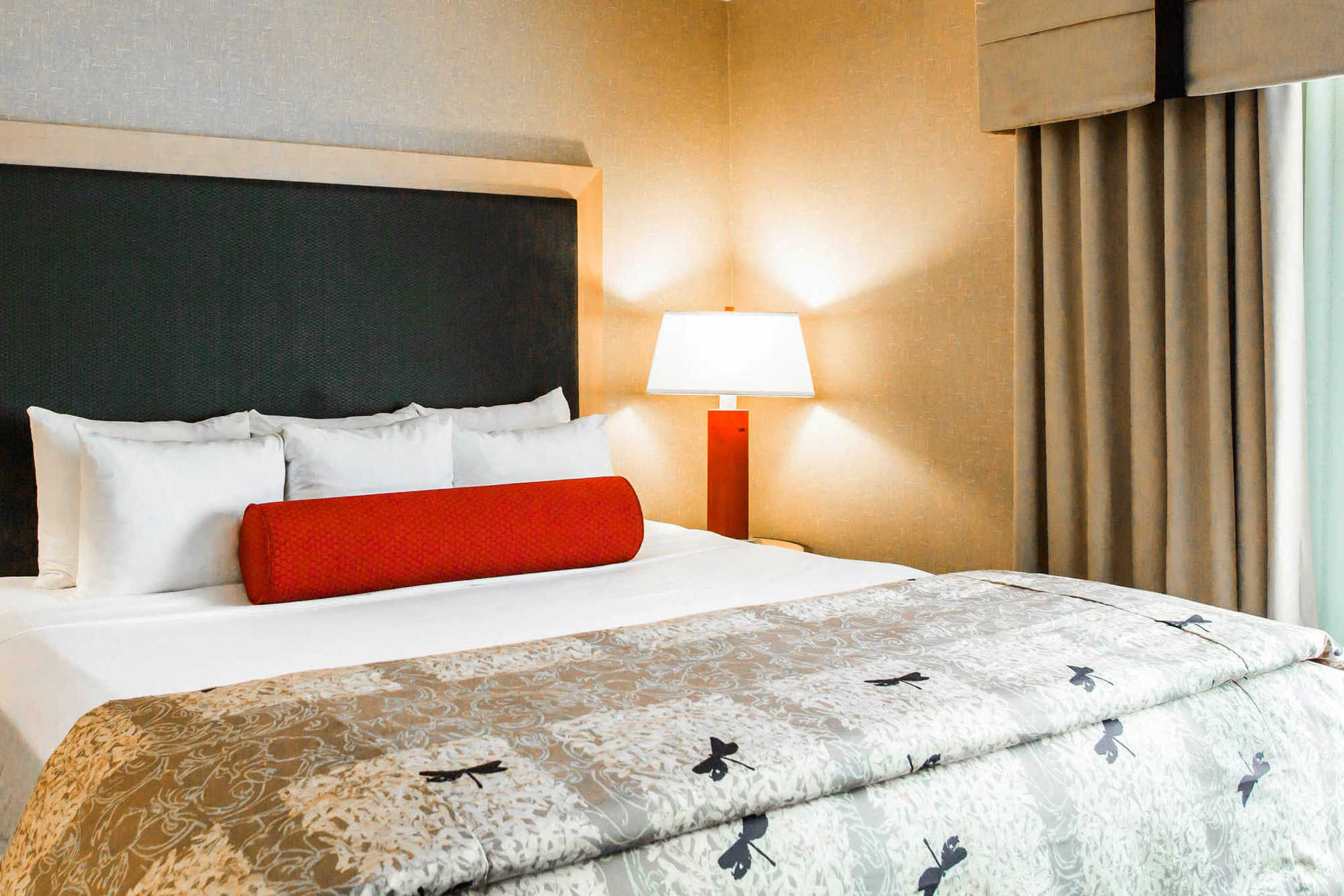 Springhill Suites By Marriott Roanoke Bilik gambar