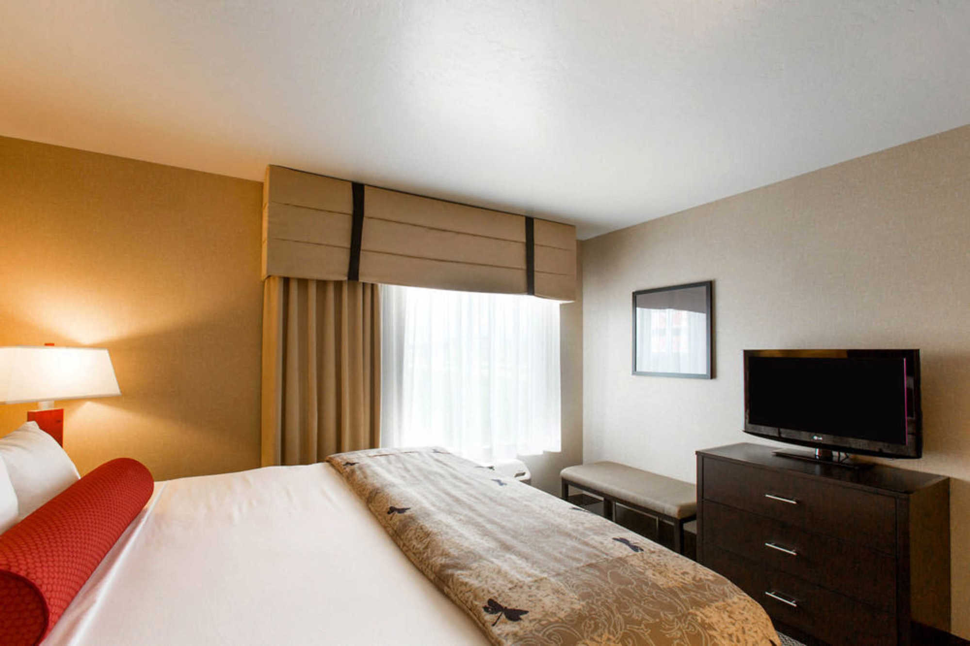 Springhill Suites By Marriott Roanoke Bilik gambar